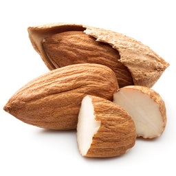 Almond Powdery MMH 13520