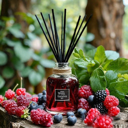 Berries Forest Extra ARDF 17531