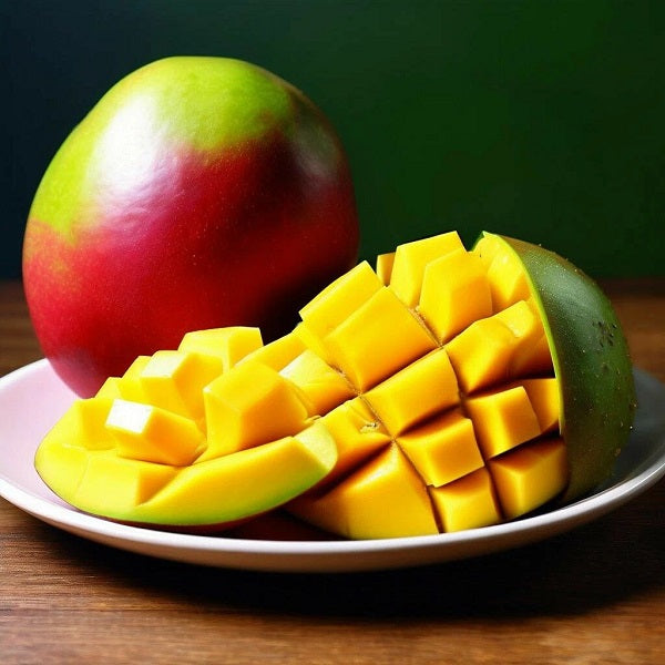 Mango DFB 12998