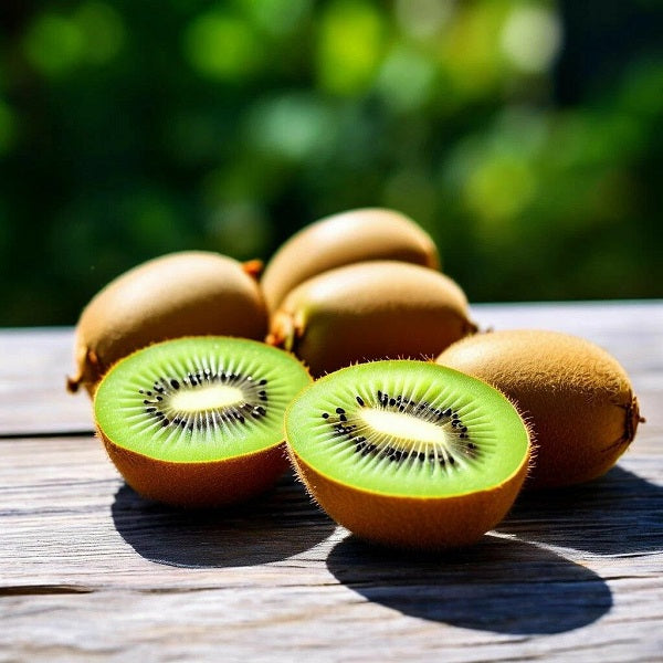 Kiwi DFB 23743