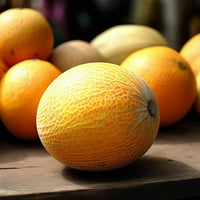 Melon Muscat MMH 28149