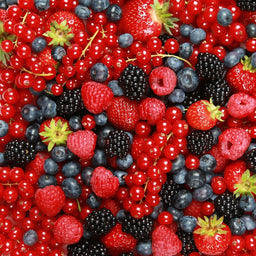 Berry Forest DFB 28701