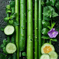 Bamboo and Cucumber DBB 35648