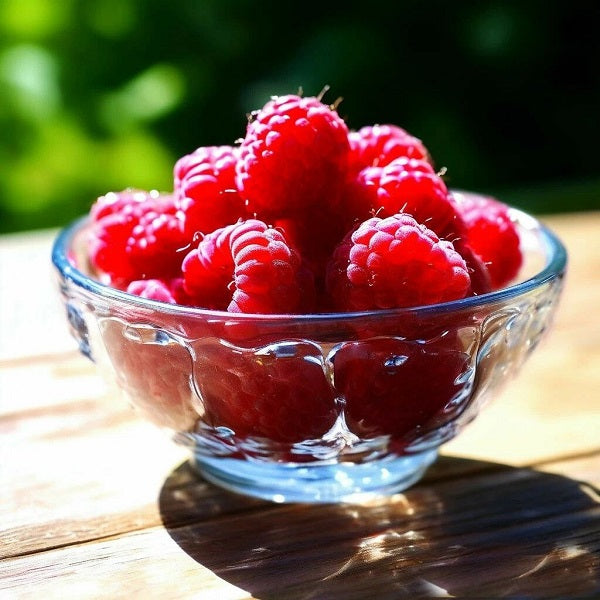 Raspberry DFB 35999