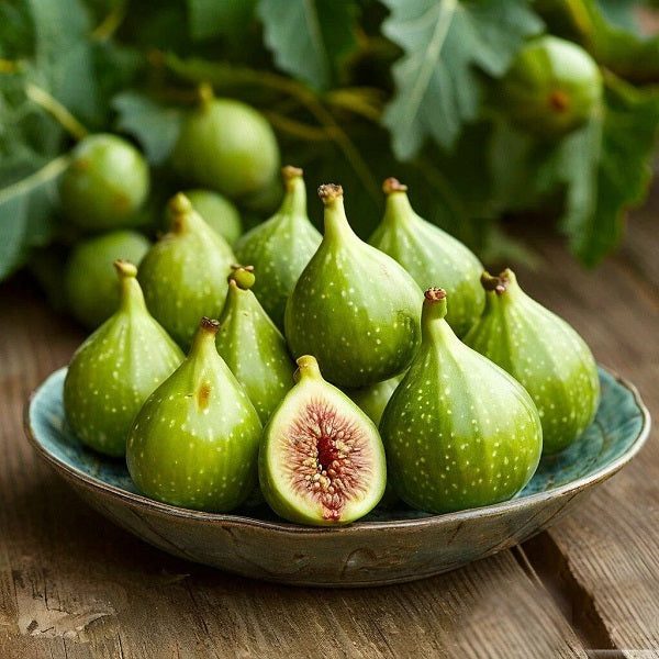 Green Fig DFB 36920