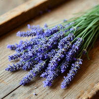 Lavender Crush DBB 19017
