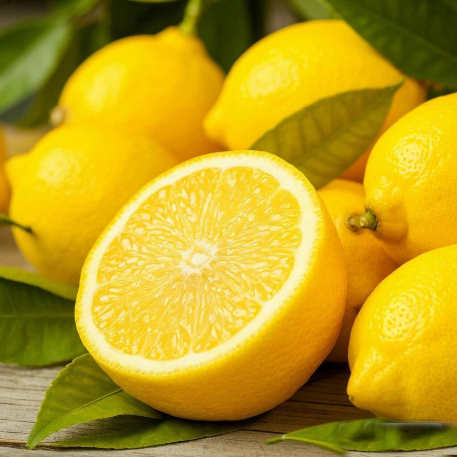 Lemon Sweet DFB 11030