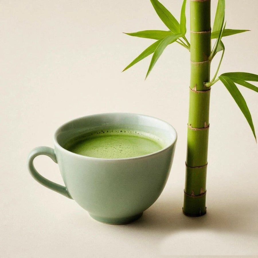 Matcha and Bamboo DBB 52910