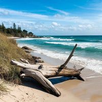 Ocean Breeze and Driftwood DBB 69830