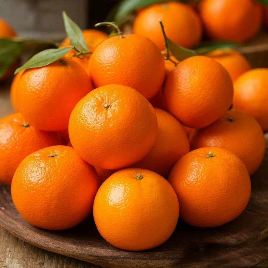 Orange Sicilian DBB 23081